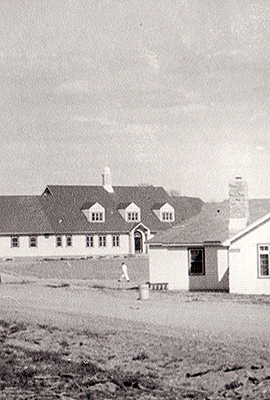 Archival image of the Wellington and the Perth buildings