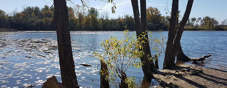 Photo of Walkers Pond on a summer day