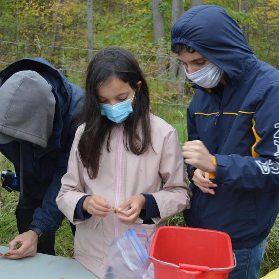 Volunteers processing newly collected seed