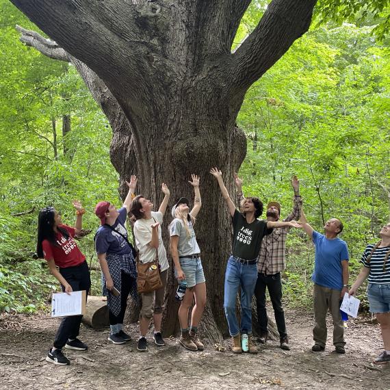 Volunteers gathered at the historic Meeting Tree